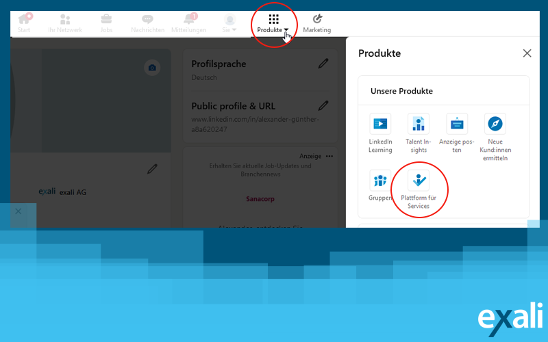 Screenshot vom LinkedIn-Profil: So finden Sie die „Plattform für Services“ über die Produkte auf LinkedIn